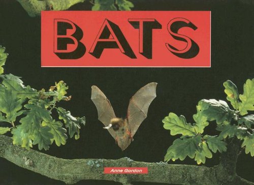 Bats (Literacy 2000)