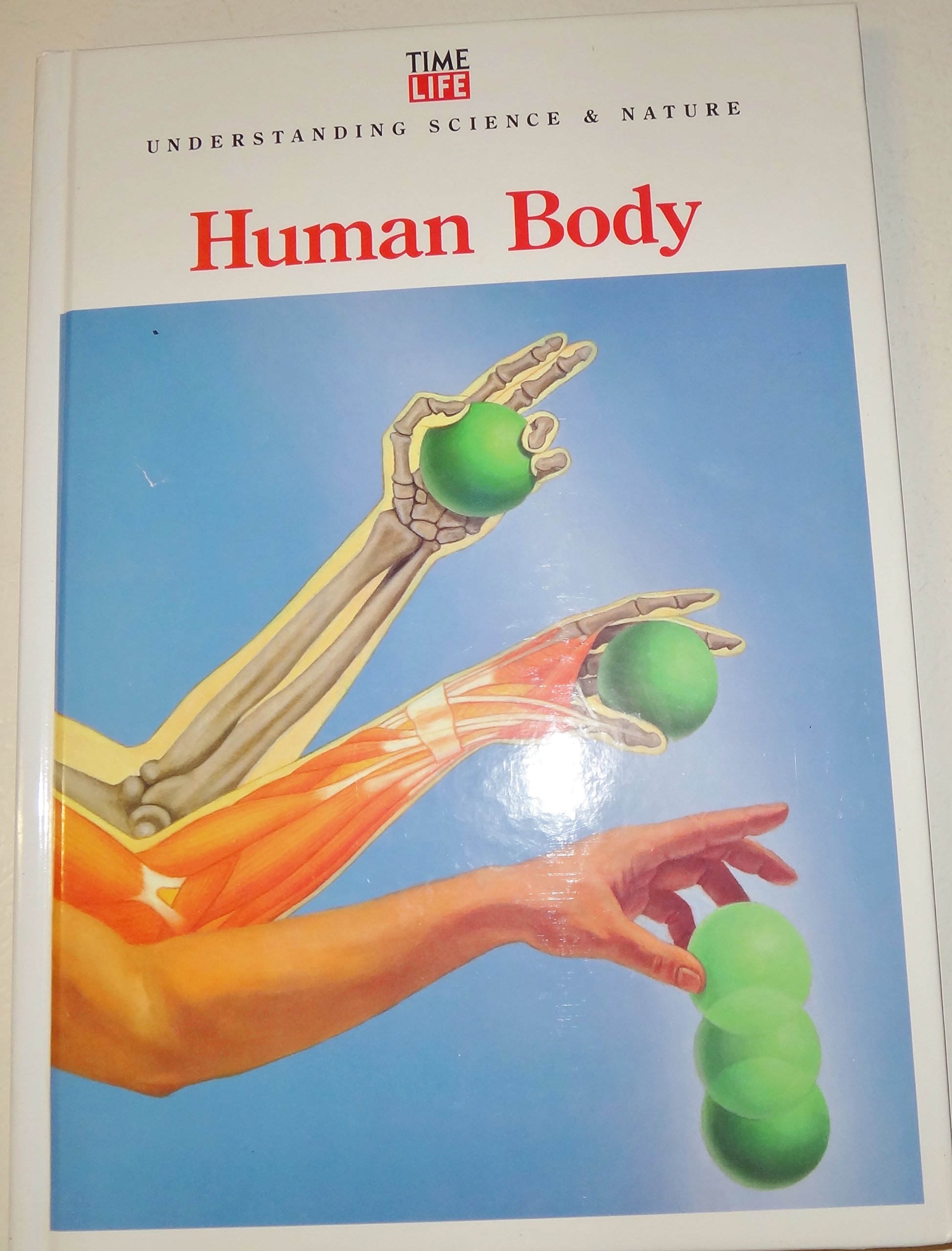 Human Body (Understanding Science and Nature)