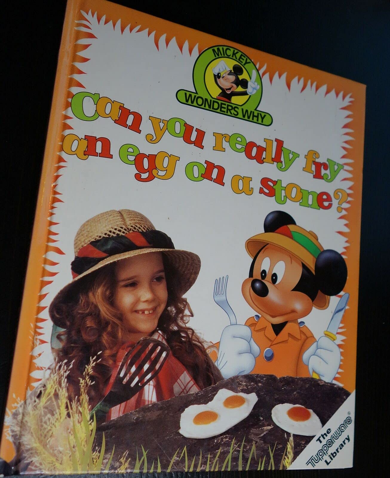 Can You Really Fry an Egg on a Stone? (Mickey Wonders Why Ser. )
