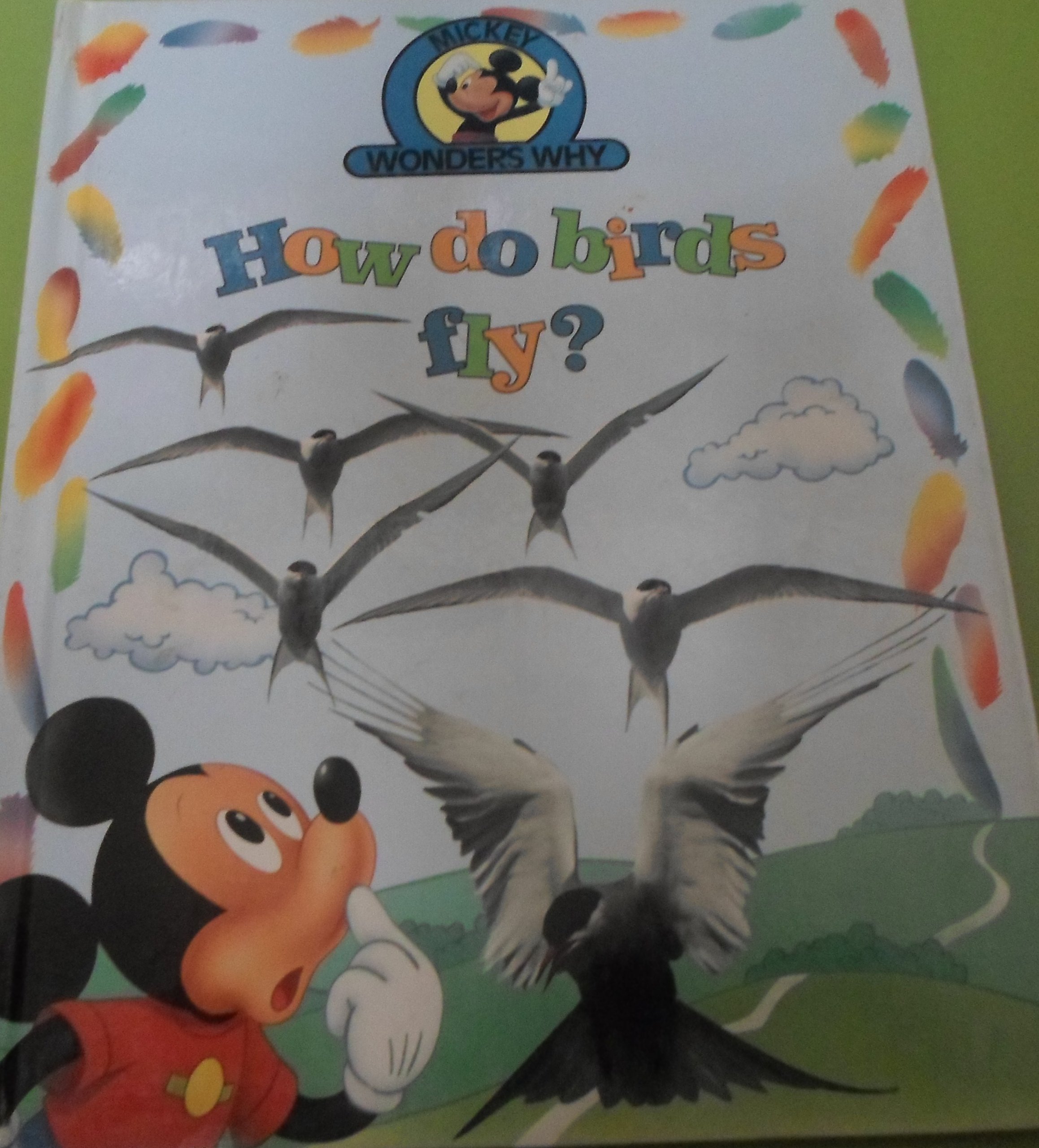 How do birds fly? (Mickey wonders why)