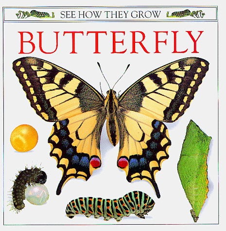 Butterfly (See How They Grow)