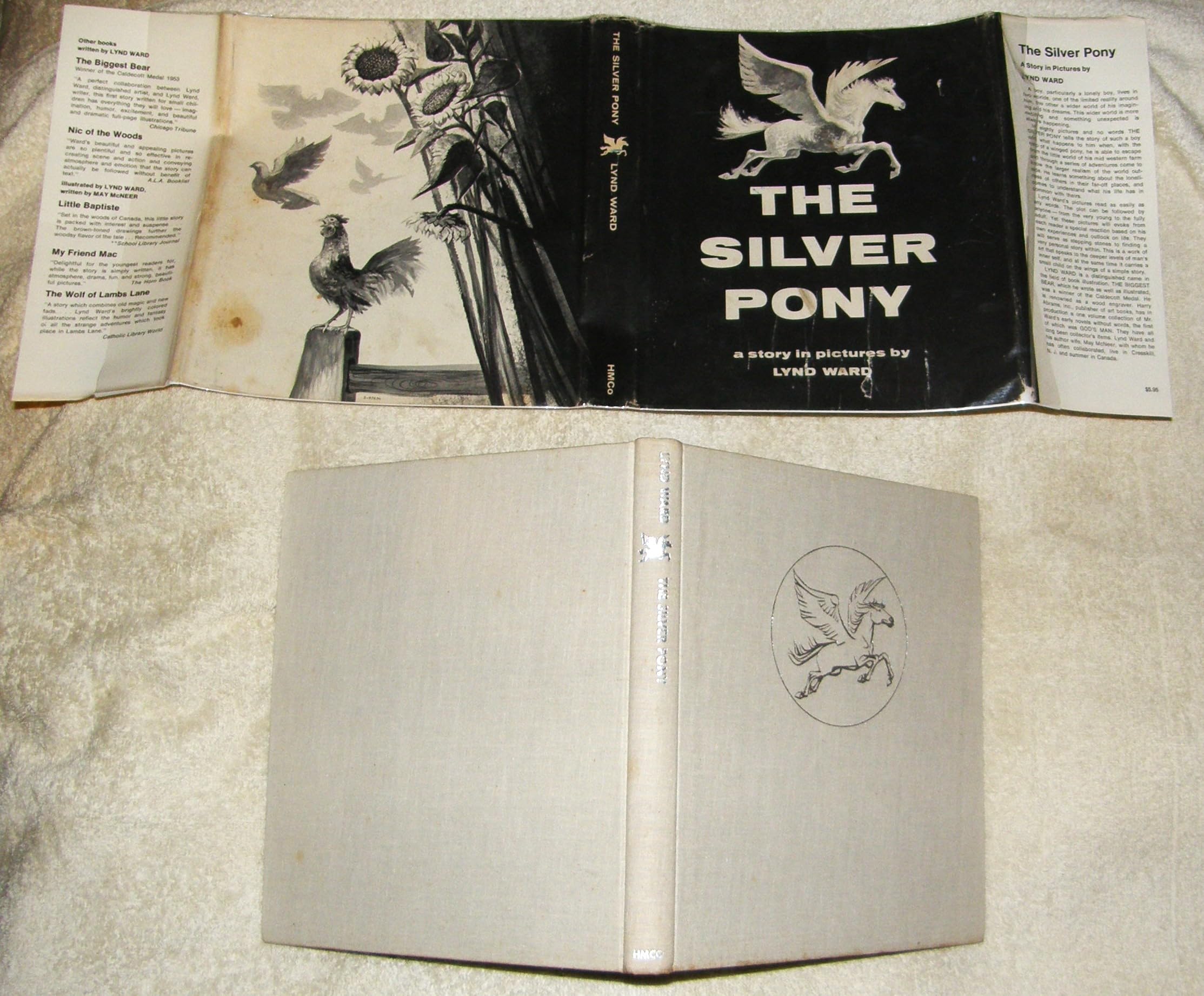 The Silver Pony: A Story in Pictures