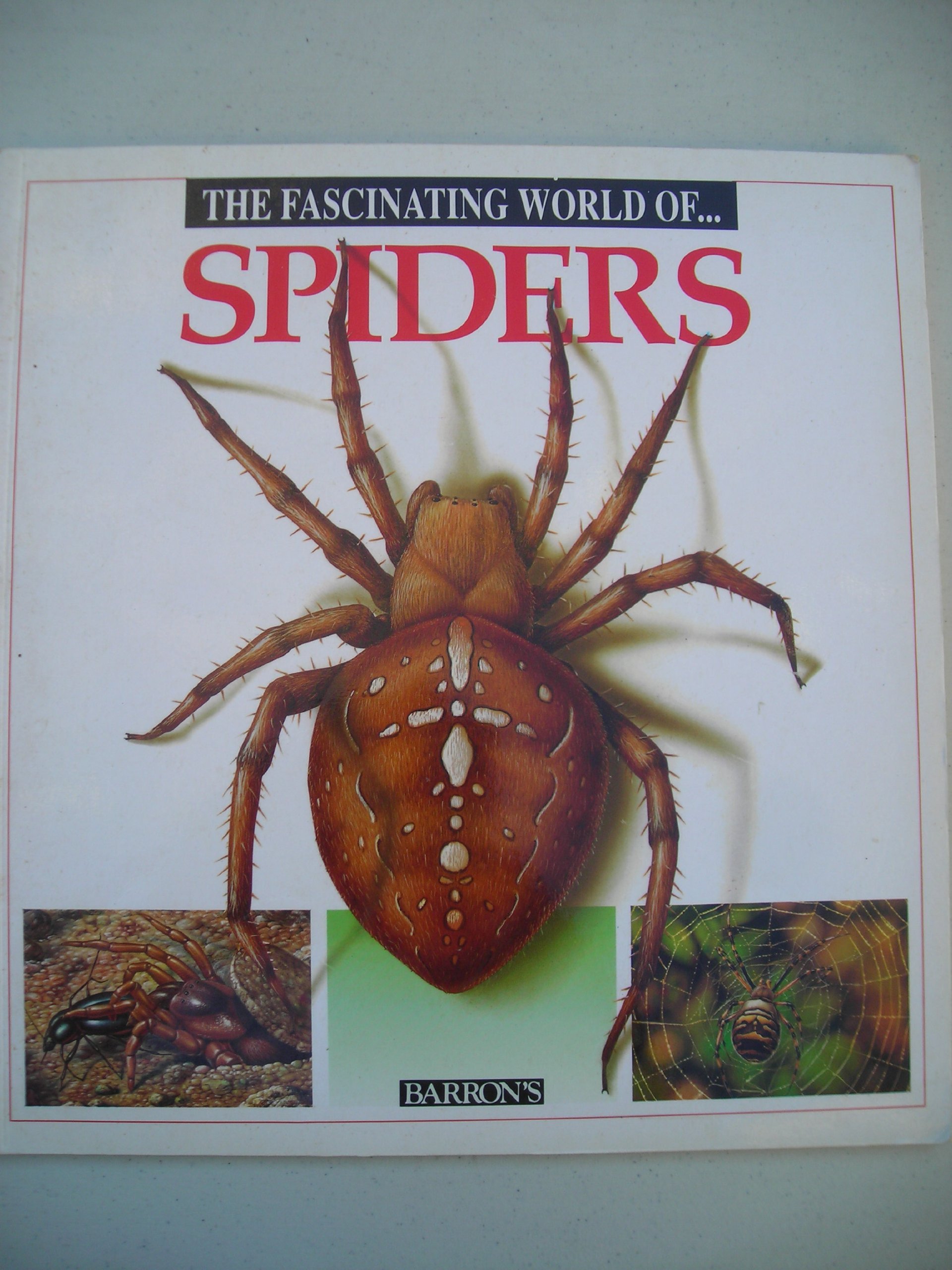 The Fascinating World Of... Spiders
