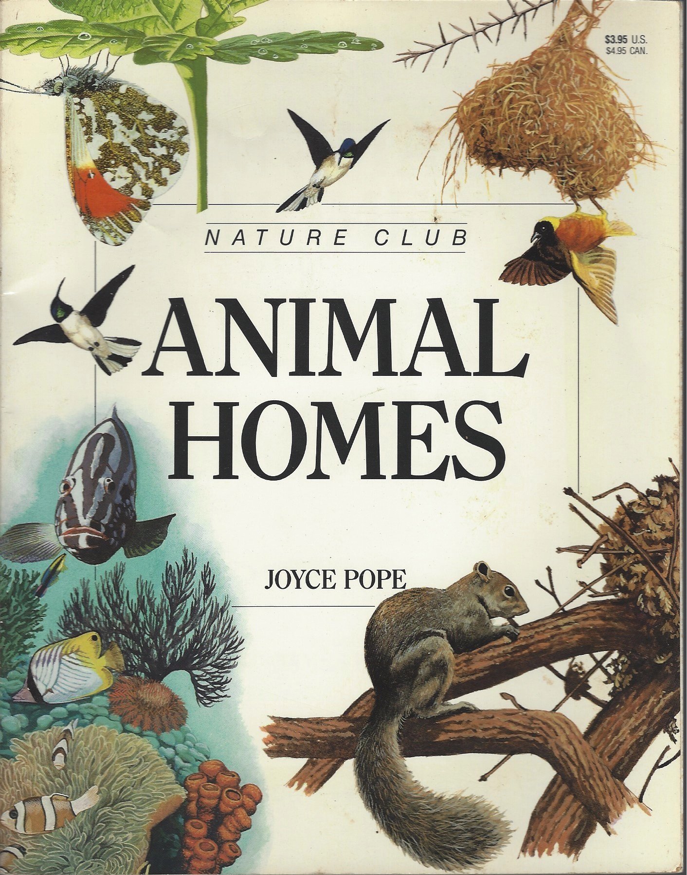 Animal Homes (Nature Club Series)
