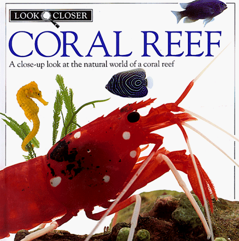 Look Closer: Coral Reef