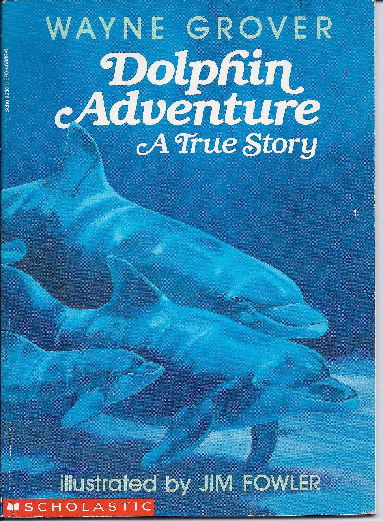 Dolphin Adventure: A True Story