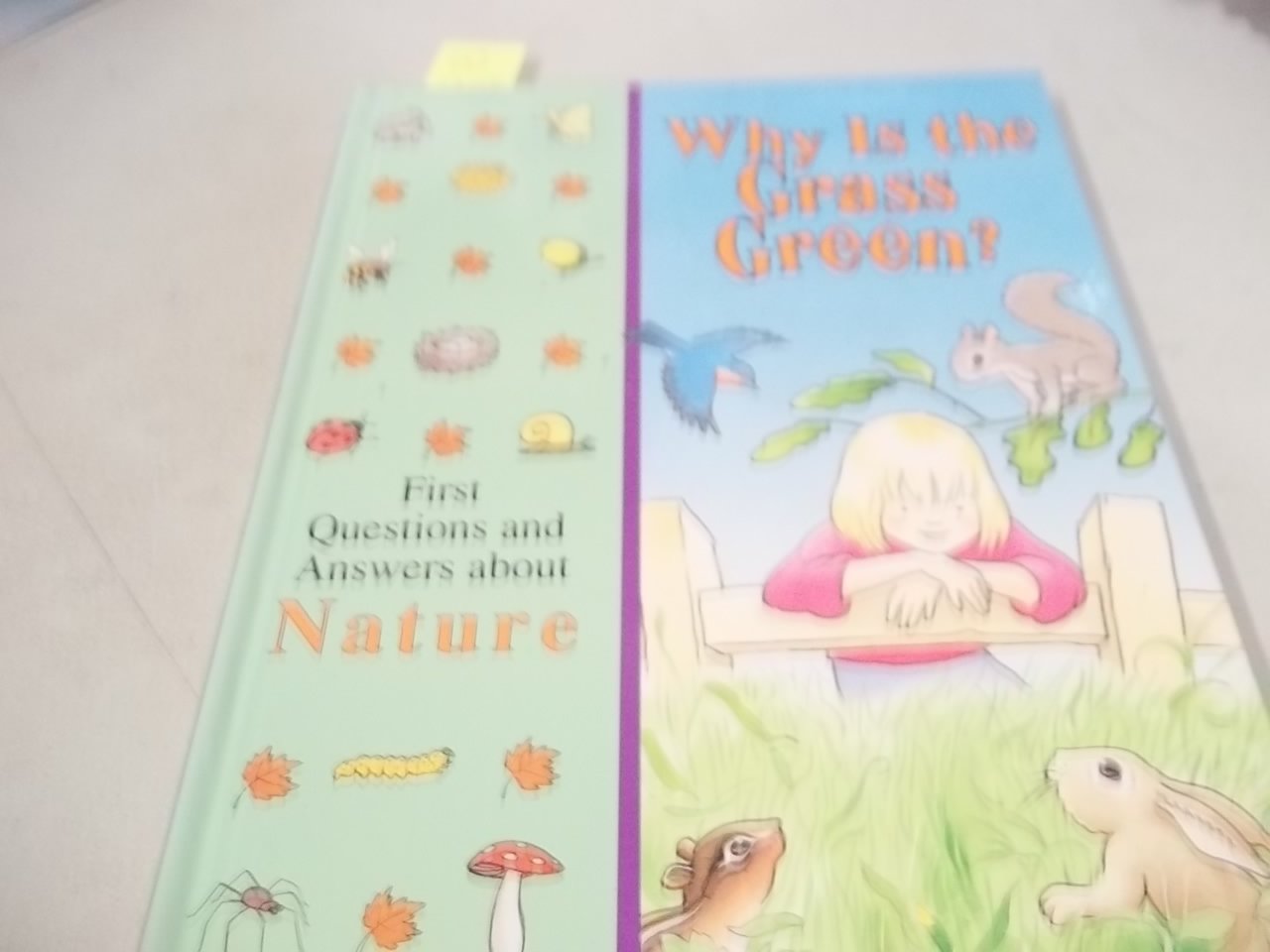 Why Is the Grass Green?