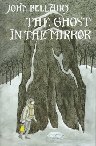 The Ghost in the Mirror