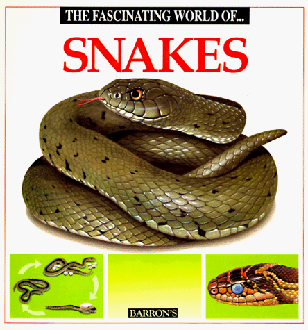 The Fascinating World of Snakes