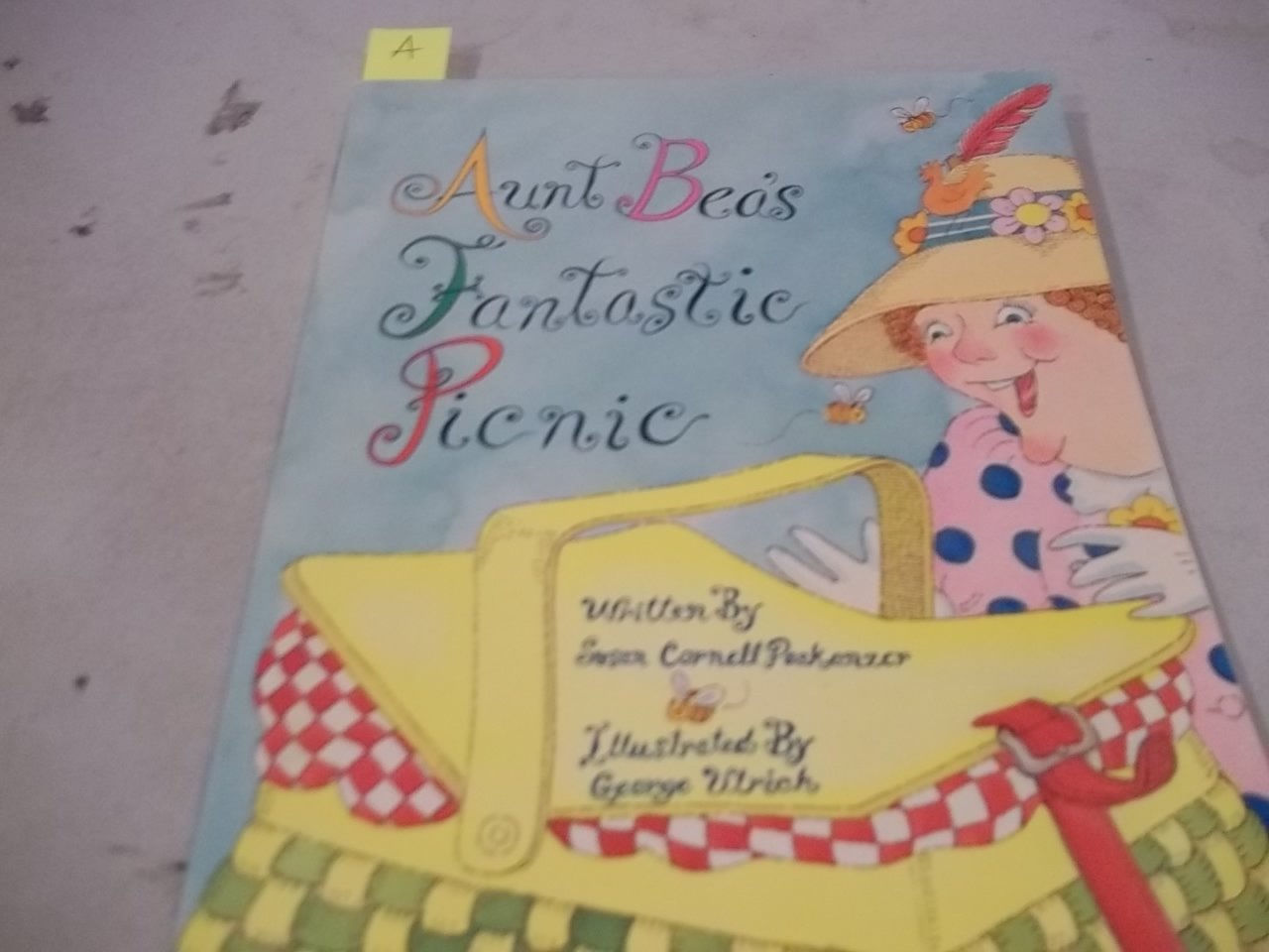 AUNT BEA'S FANTASTIC PICNIC, SINGLE COPY, DISCOVERY PHONICS (DISCOVERY PHONICS II)