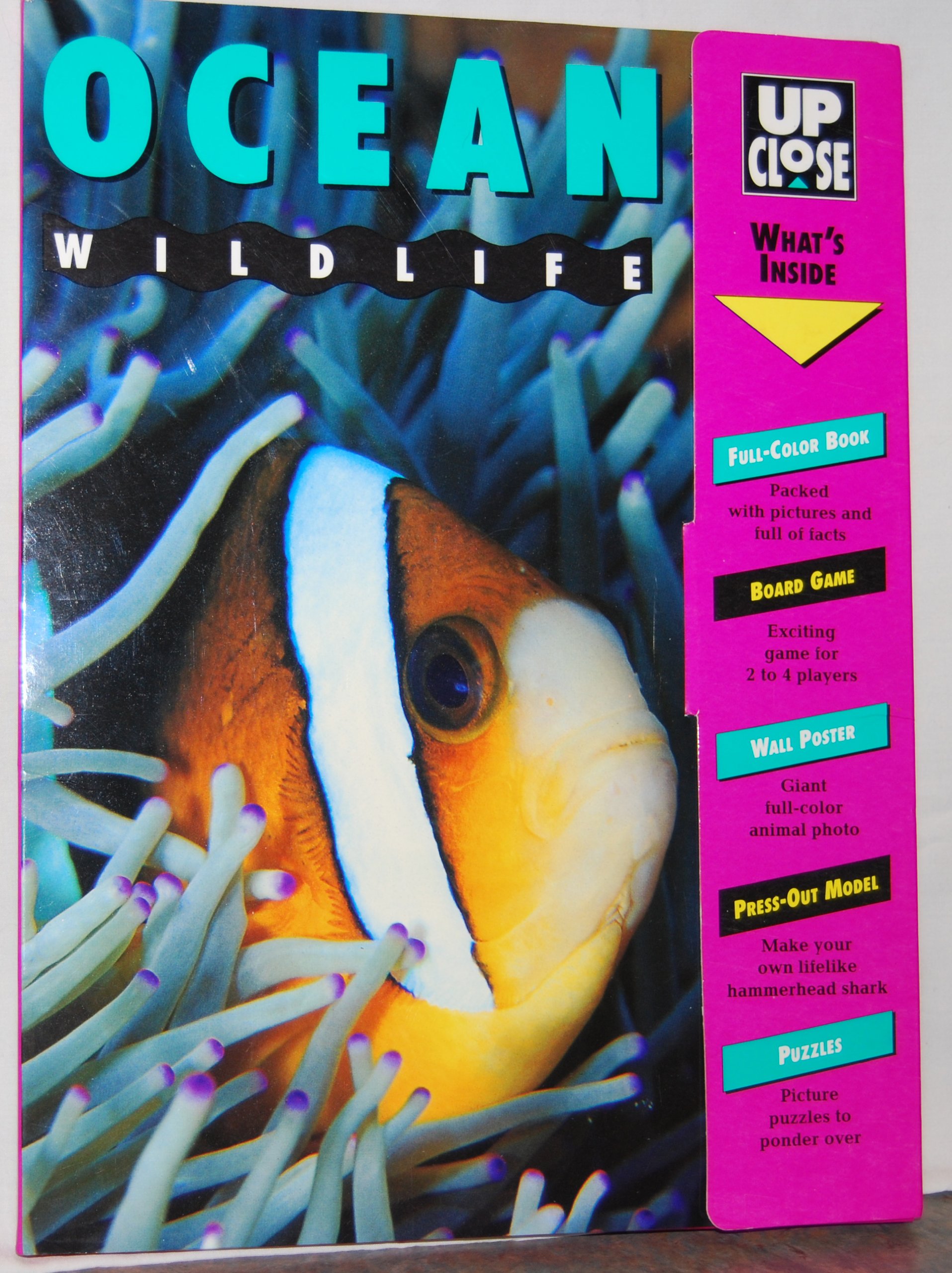 Ocean Wildlife (Up Close)