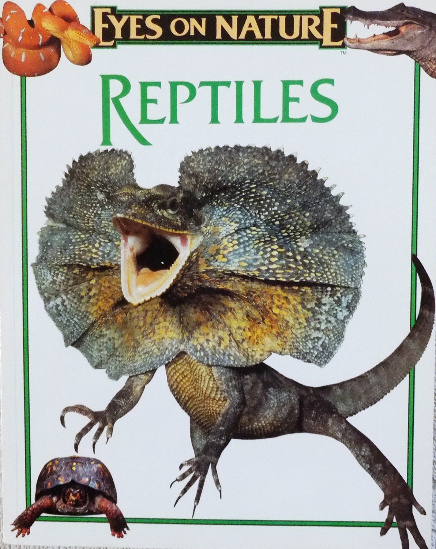 Eyes on Nature : Reptiles (Eyes on Nature)