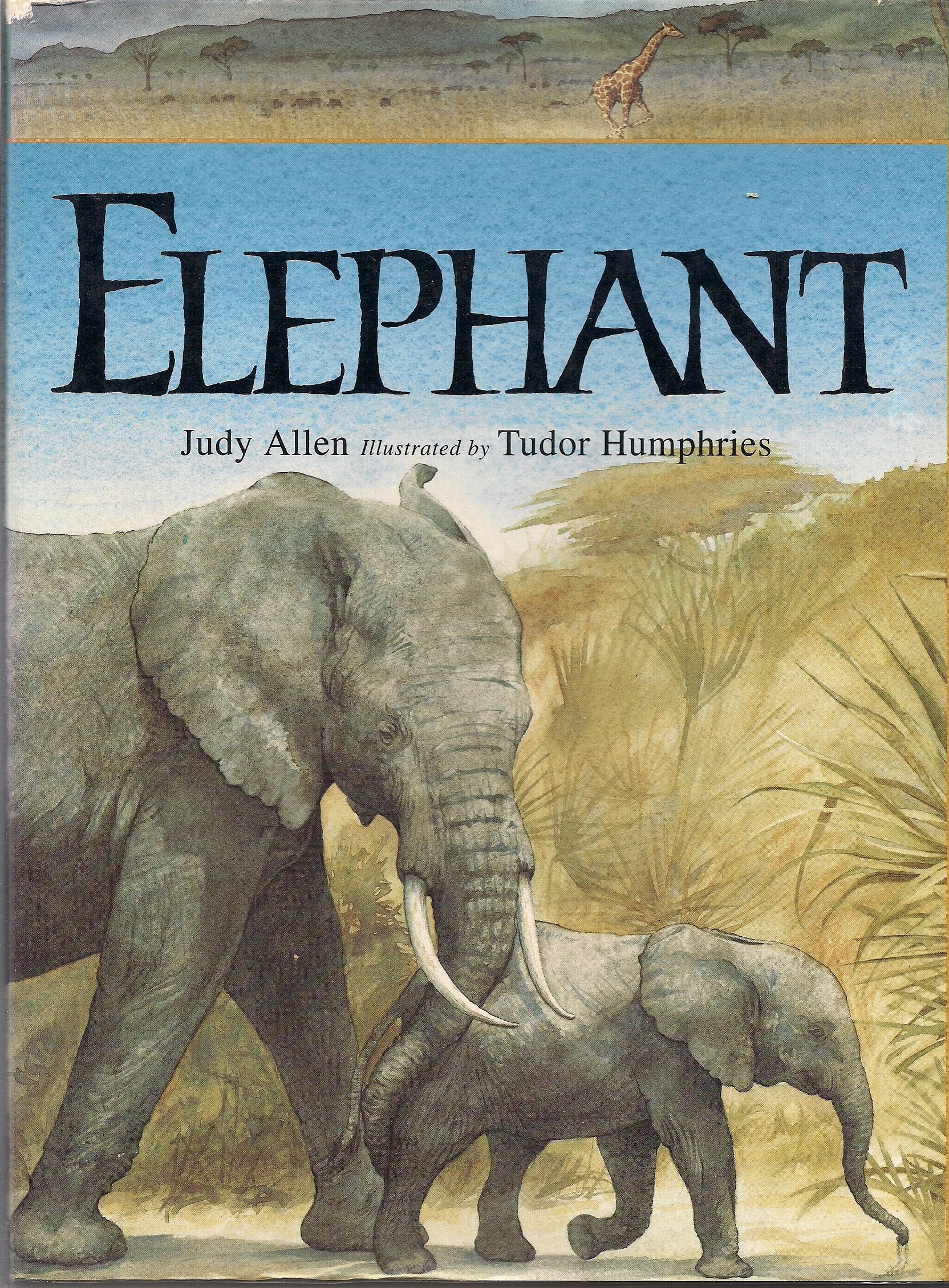 Elephant