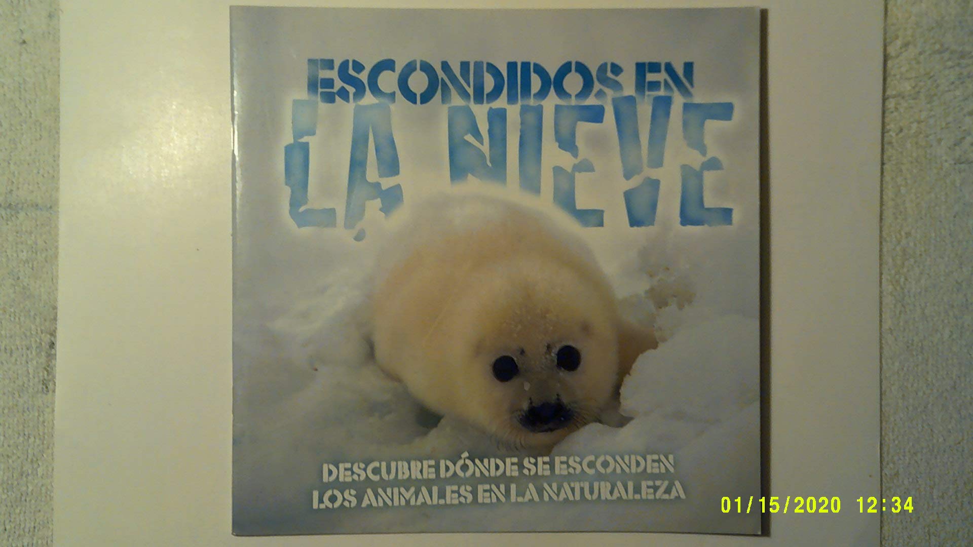 Escondidos en la Nieve (Hidden in the Snow)