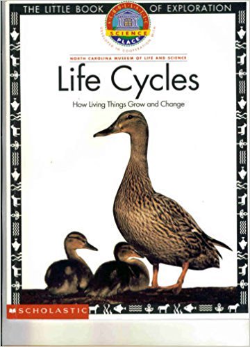 The Little Book of Exploration Life Cycles How Living Things Grow and Change