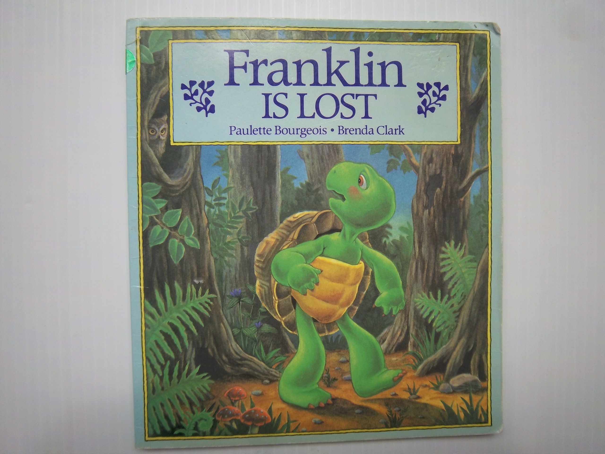 Franklin Is Lost