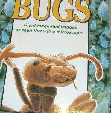 Insects & Bugs (Discover Hidden Worlds)