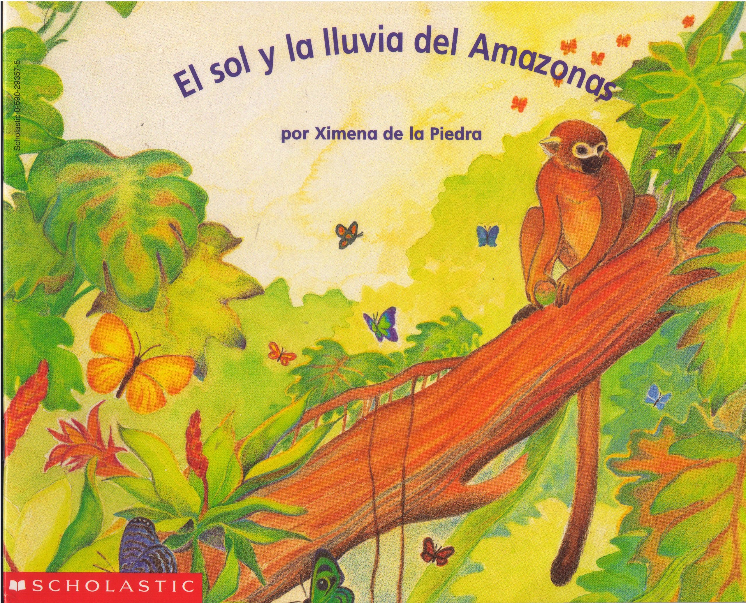 El sol y la lluvia del Amazonas (Beginning Literacy)