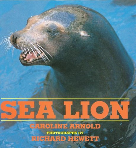Sea Lion