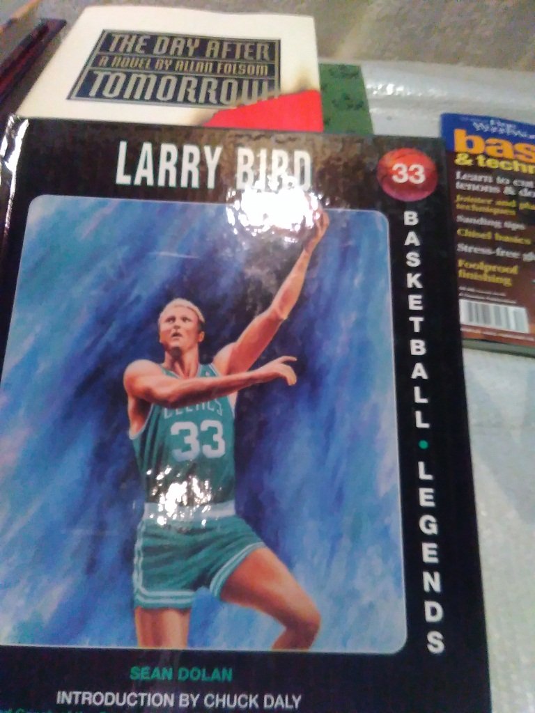 Larry Bird (Basketball Legends)