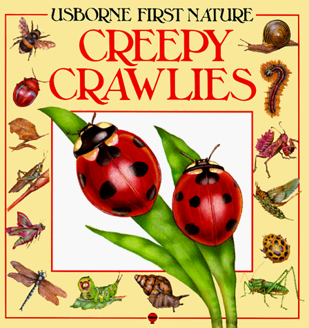 Usborne First Nature : Creepy Crawlies