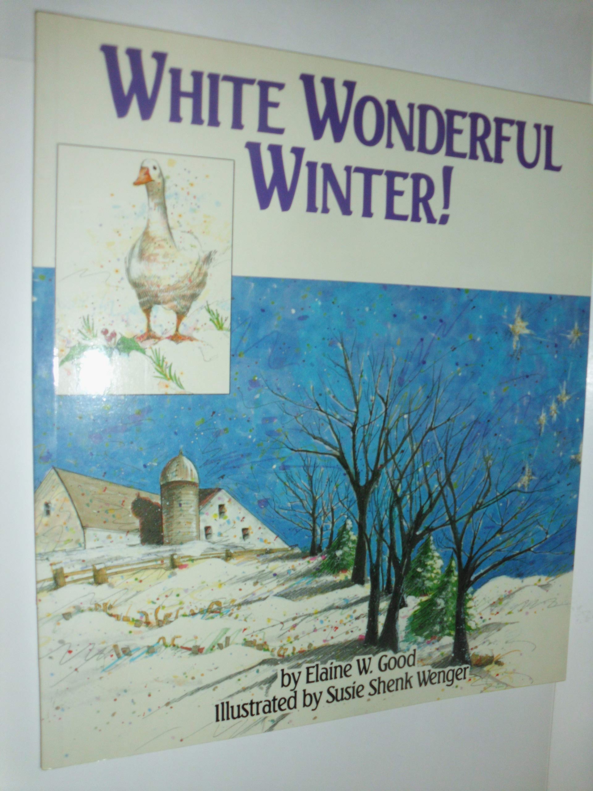 White Wonderful Winter