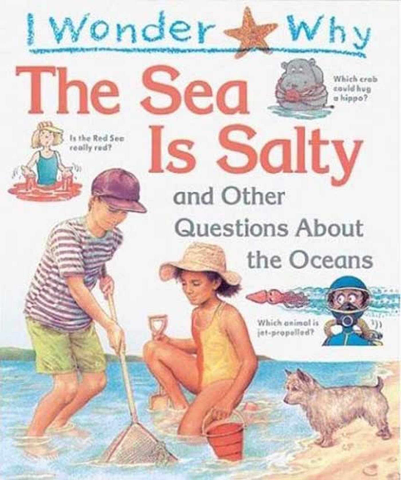 I Wonder Why the Sea Is Salty: and Other Questions About the Oceans
