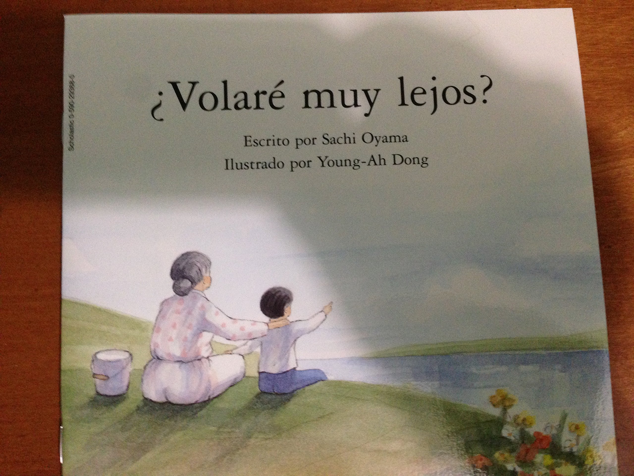 Volare Muy Lejos ?