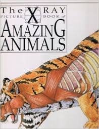 Xray Picture Book Of Amazing Animals