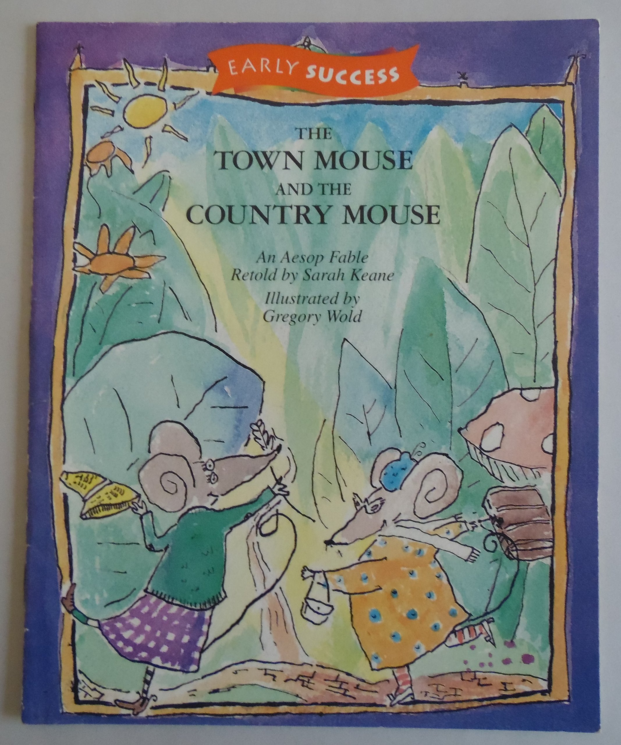 Town & Country, Reader Es Level 2 Book 28: Houghton Mifflin Early Success