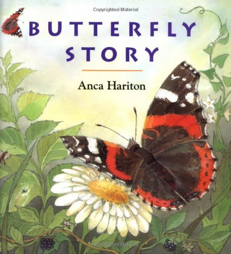 Butterfly Story
