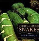 Outside & Inside Snakes