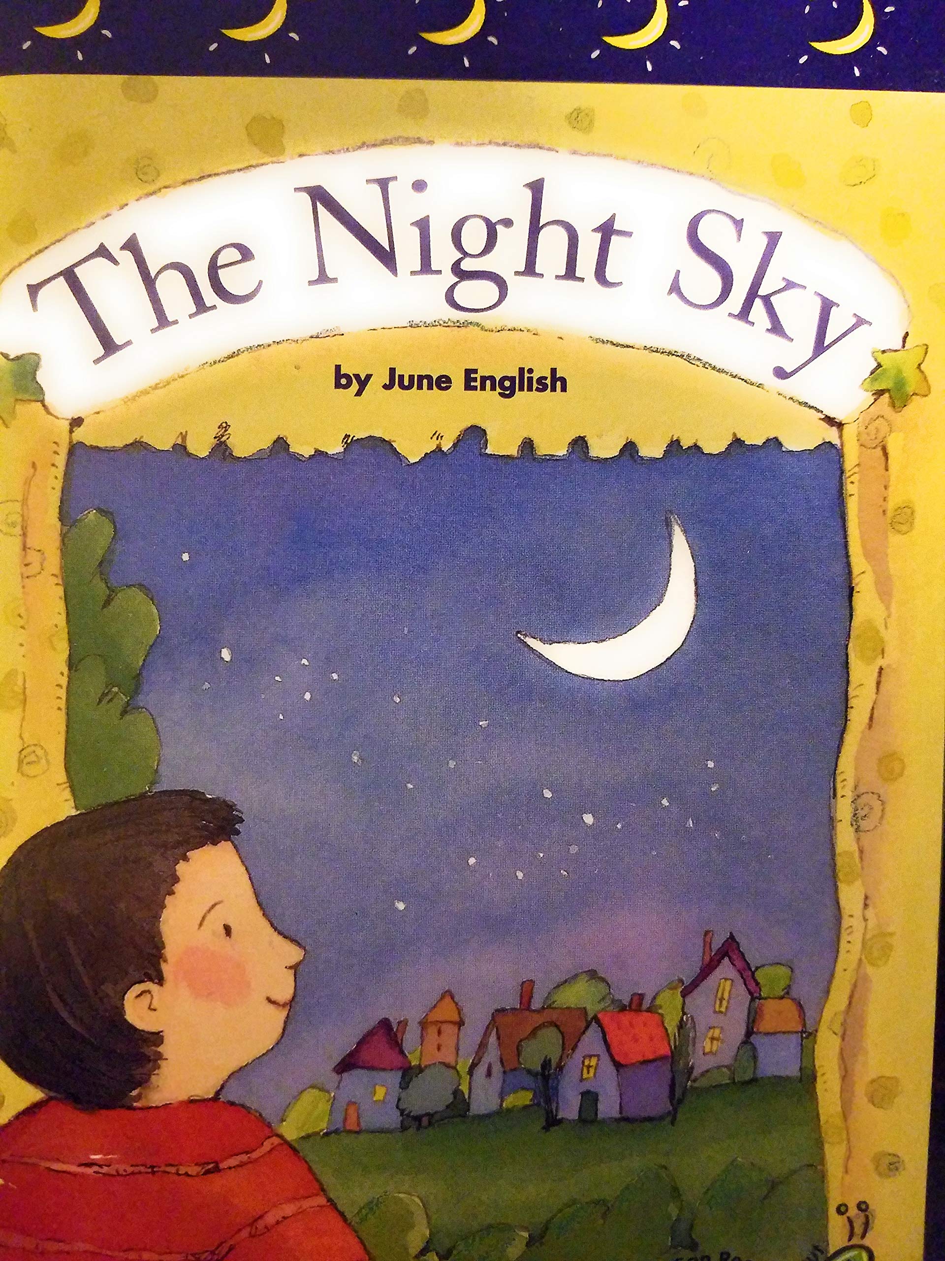 The night sky (I can read about science library)