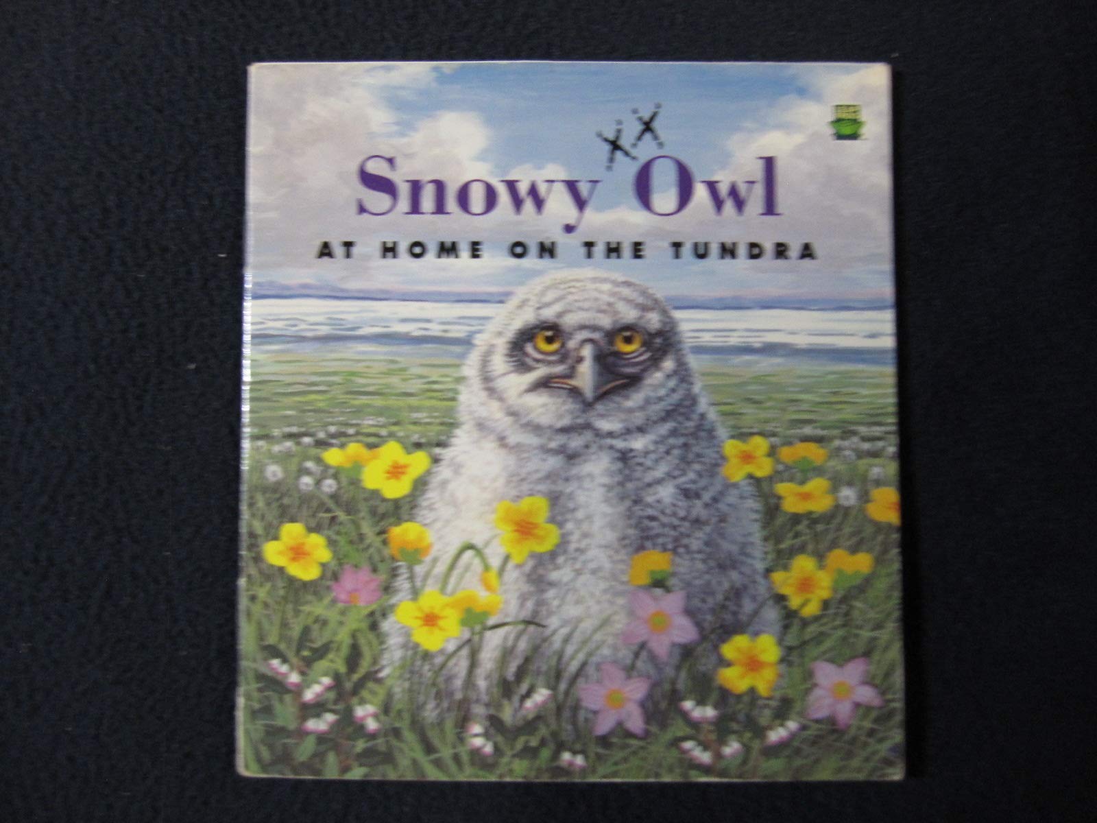 Snowy owl: At home on the tundra