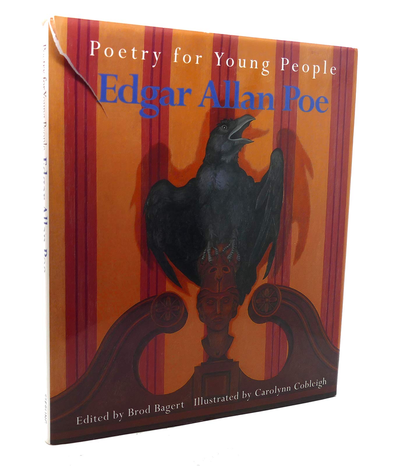 Poetry for Young People: Edgar Allan Poe