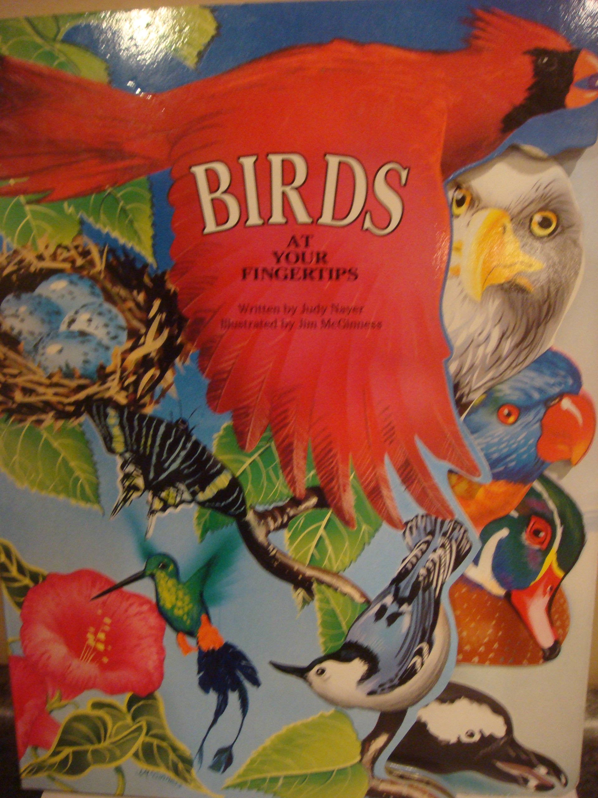 Birds at Your Fingertips (At Your Fingertips III)
