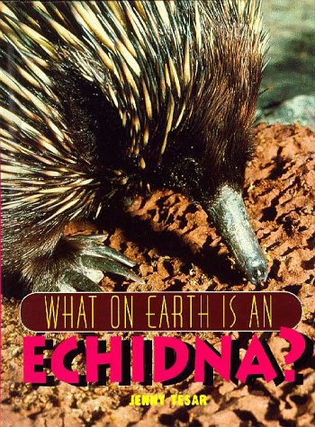 What on Earth Is an Echidna?