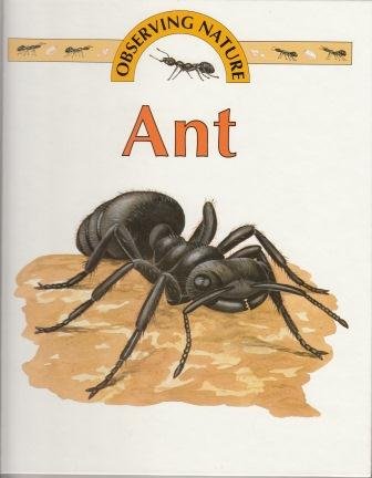 Ant (Observing Nature)