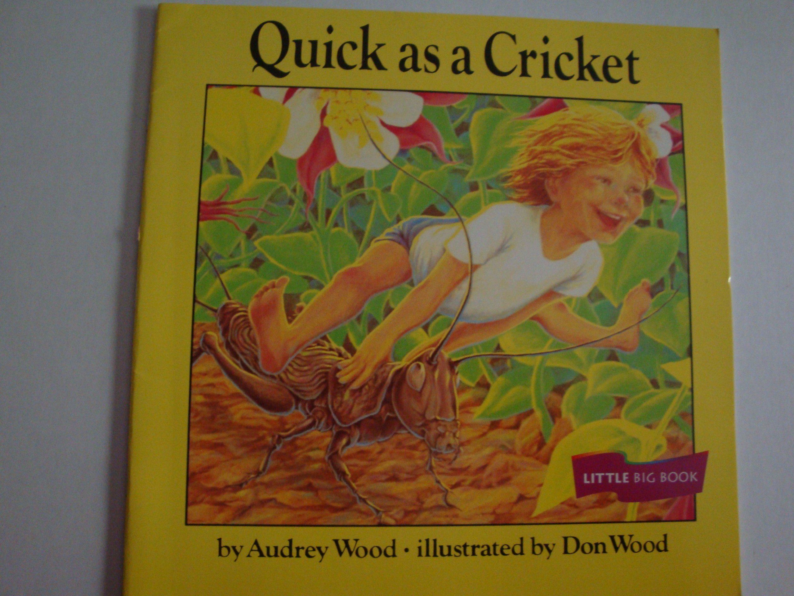 Quick as a Cricket: Read Little Big Book, Level K (Houghton Mifflin Invitations to Literature)