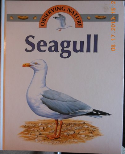 Seagull (Observing Nature)