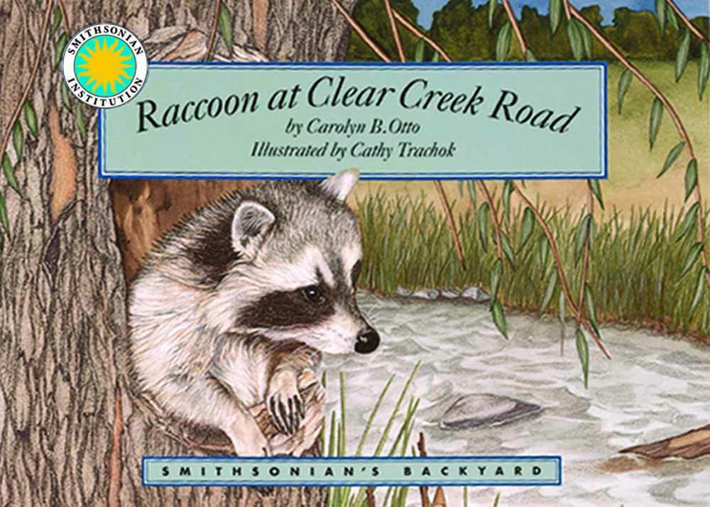 Raccoon At Clear Creek Road (Smithsonian Backyard)