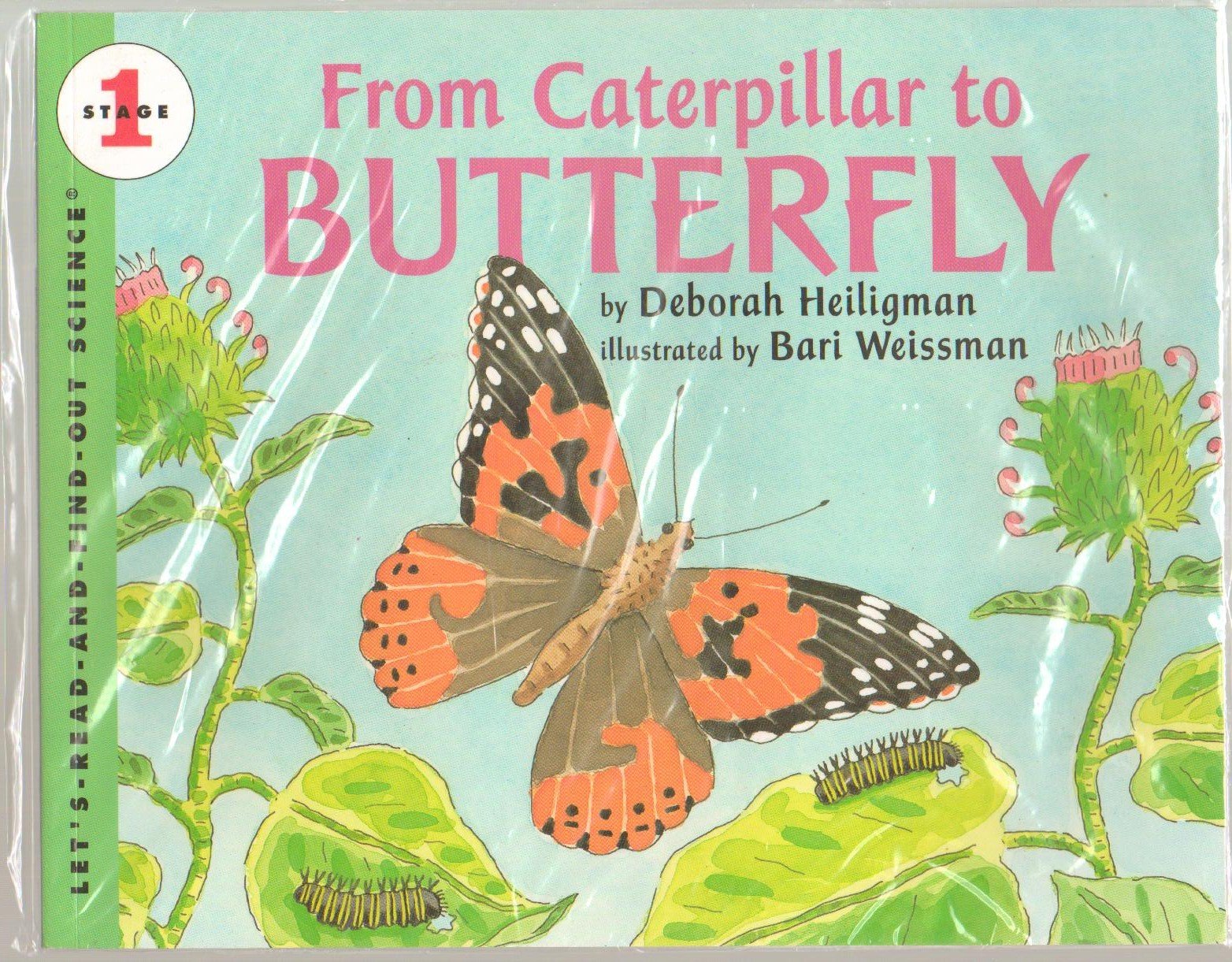 From Caterpillar to Butterfly (Let's-Read-and-Find-Out Science, Stage 1)