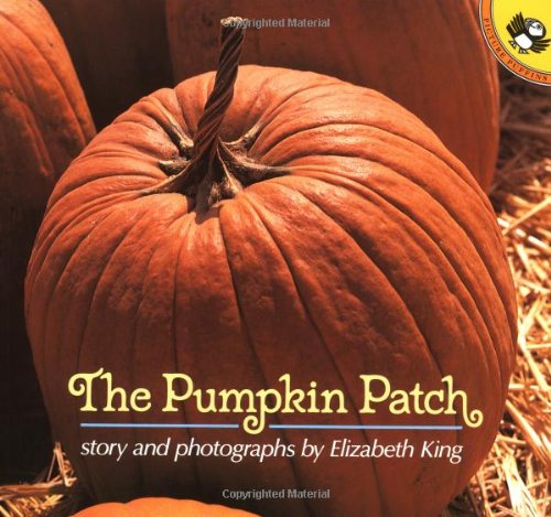 The Pumpkin Patch (Picture Puffins)