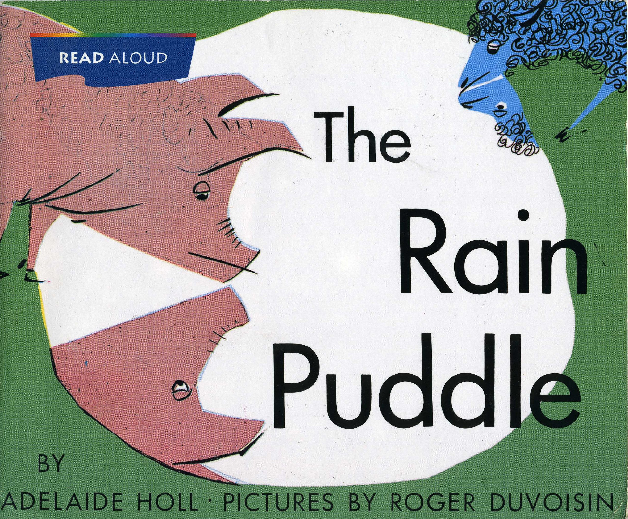 The Rain Puddle