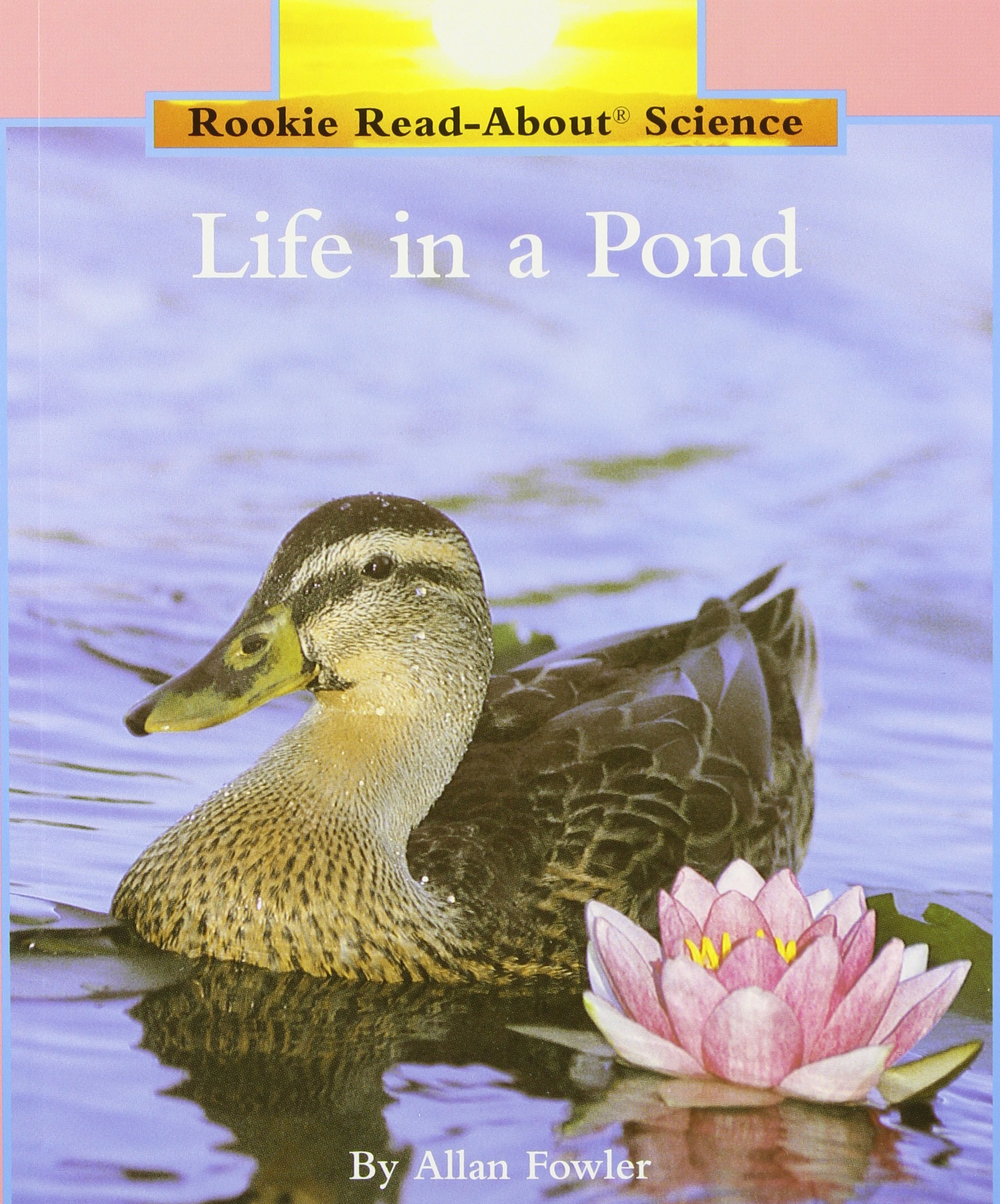 Life In A Pond (Rookie Read-About Science: Habitats and Ecosystems)