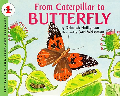 From Caterpillar to Butterfly (Let's-Read-and-Find-Out Science, Stage 1)