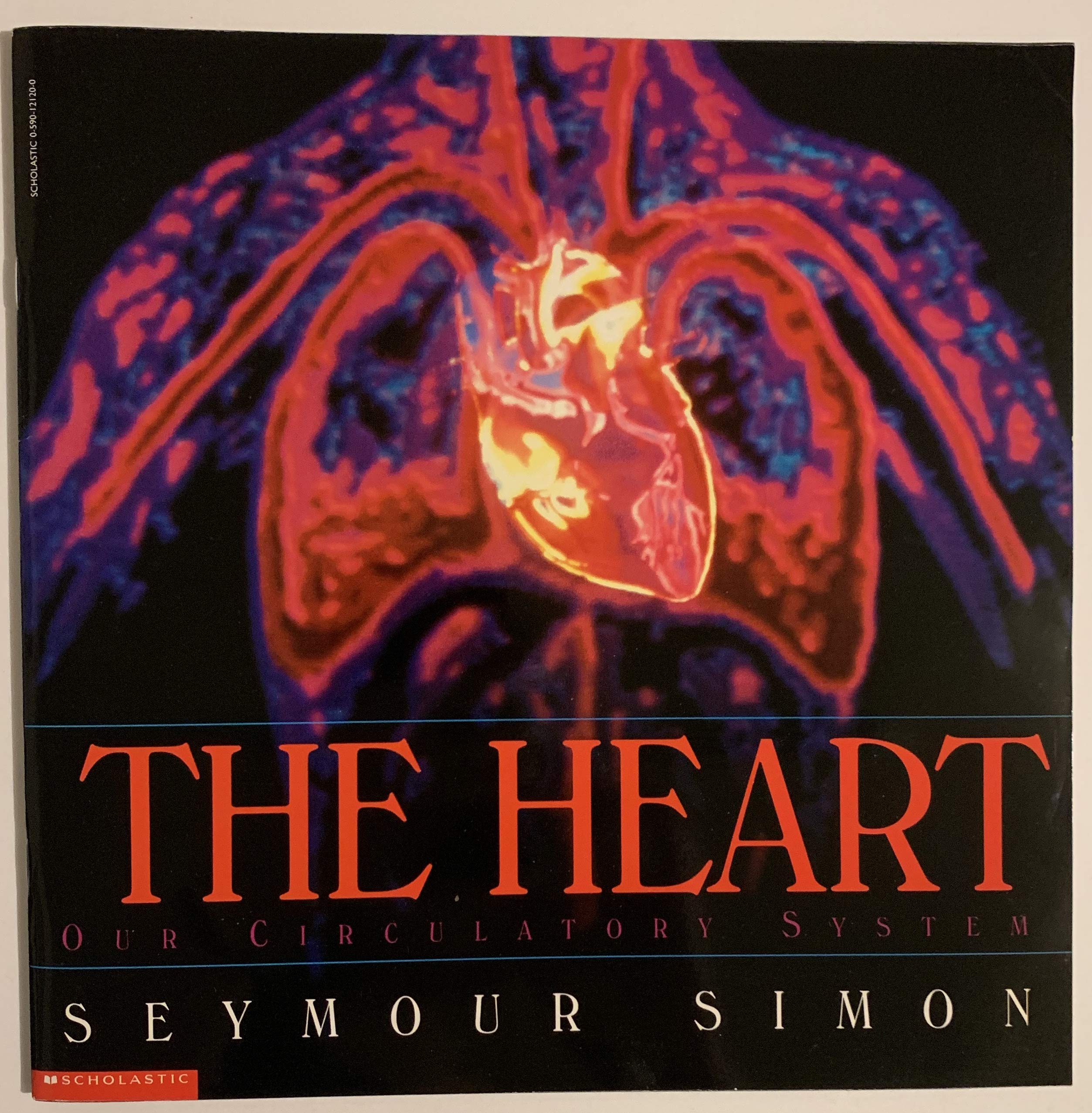 The Heart Our Circulation System