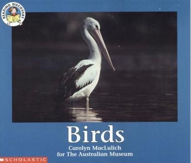 Birds