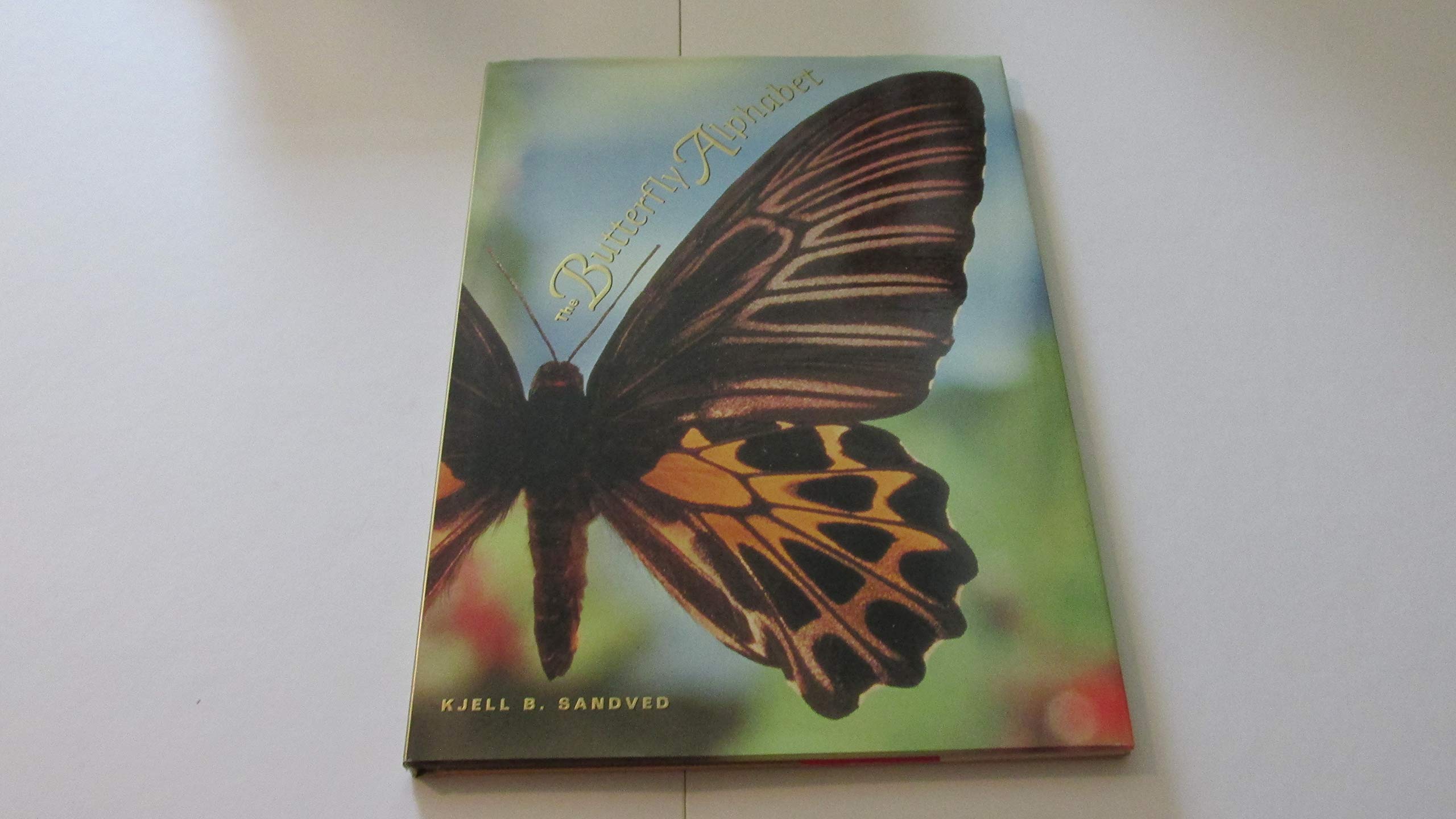 The Butterfly Alphabet