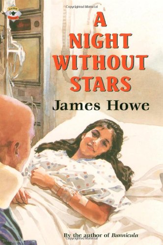 A Night without Stars (Aladdin Fiction)